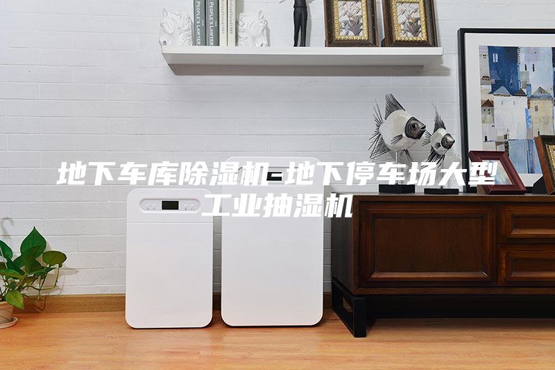 地下車(chē)庫(kù)除濕機(jī)-地下停車(chē)場(chǎng)大型工業(yè)抽濕機(jī)