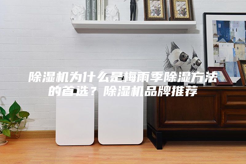 除濕機(jī)為什么是梅雨季除濕方法的首選？除濕機(jī)品牌推薦