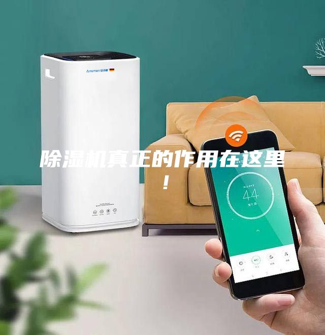 除濕機真正的作用在這里！