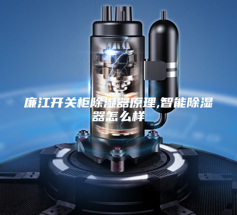 廉江開(kāi)關(guān)柜除濕器原理,智能除濕器怎么樣
