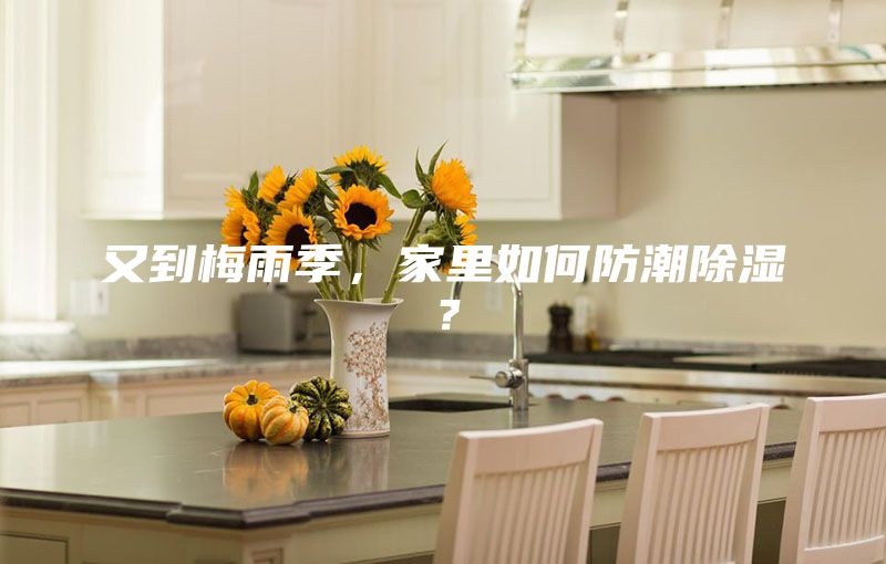 又到梅雨季，家里如何防潮除濕？