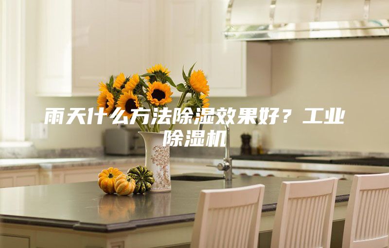 雨天什么方法除濕效果好？工業(yè)除濕機(jī)