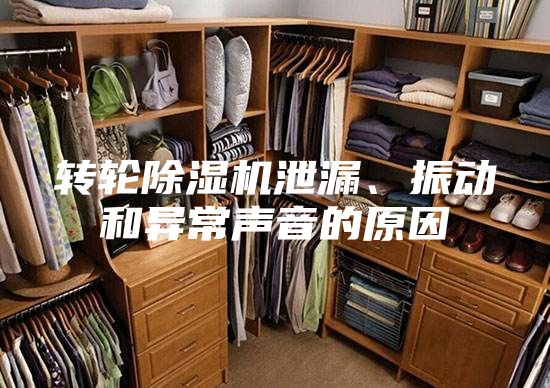 轉輪除濕機泄漏、振動和異常聲音的原因