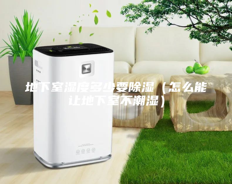 地下室濕度多少要除濕（怎么能讓地下室不潮濕）