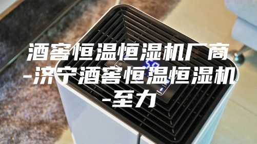 酒窖恒溫恒濕機廠商-濟寧酒窖恒溫恒濕機-至力