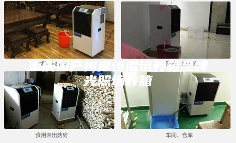 重慶國產恒溫恒濕培養箱品牌光照培養箱