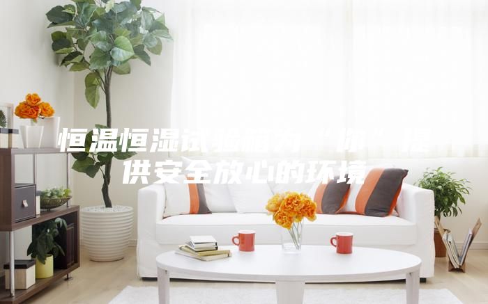 恒溫恒濕試驗箱為“你”提供安全放心的環(huán)境