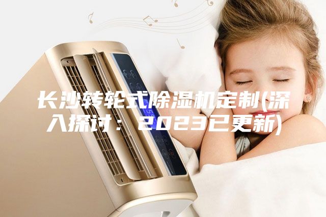 長(zhǎng)沙轉(zhuǎn)輪式除濕機(jī)定制(深入探討：2023已更新)