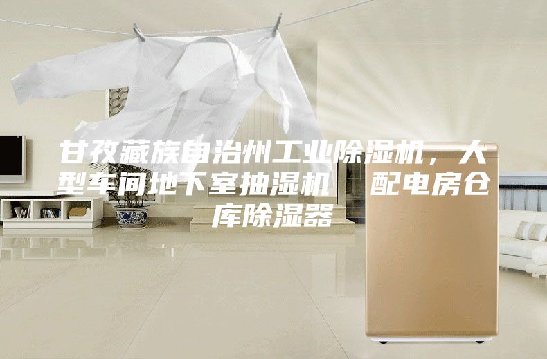 甘孜藏族自治州工業(yè)除濕機，大型車間地下室抽濕機  配電房倉庫除濕器