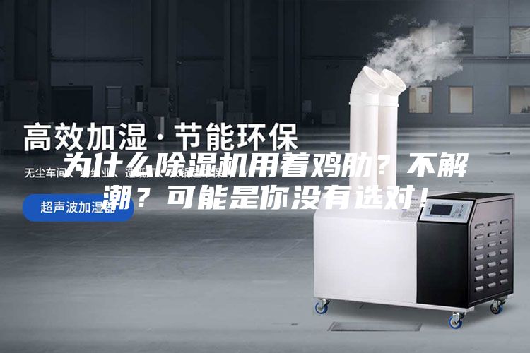 為什么除濕機用著雞肋？不解潮？可能是你沒有選對！