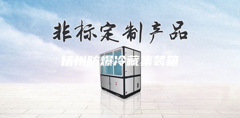 揚(yáng)州防爆冷藏集裝箱