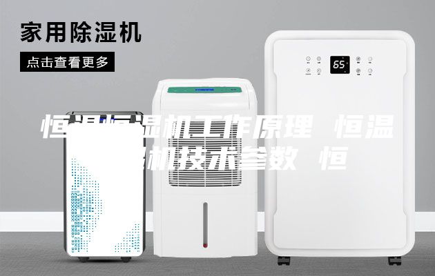 恒溫恒濕機工作原理 恒溫恒濕機技術(shù)參數(shù) 恒