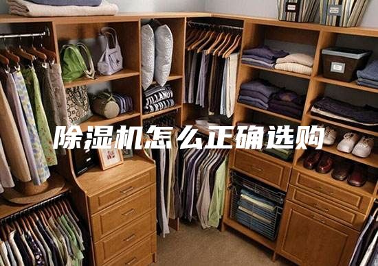 除濕機(jī)怎么正確選購