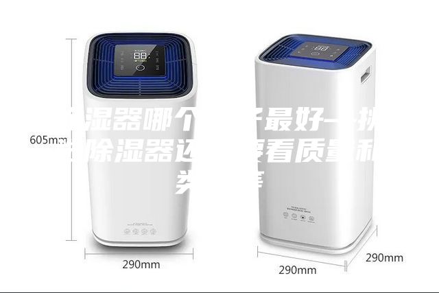 除濕器哪個牌子最好—挑選除濕器還需要看質(zhì)量和類型等