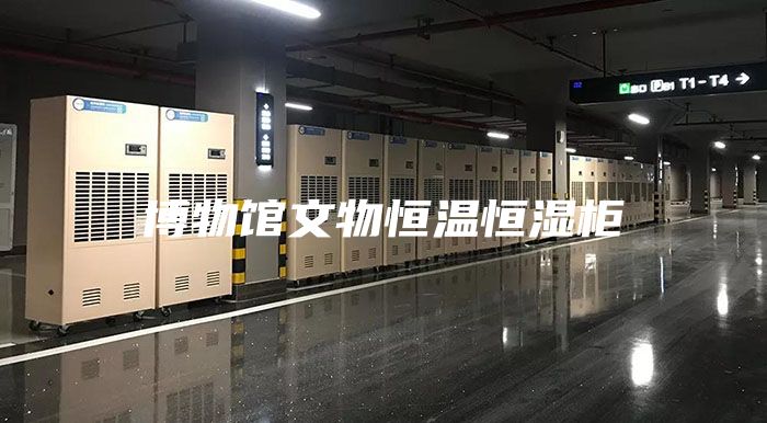 博物館文物恒溫恒濕柜