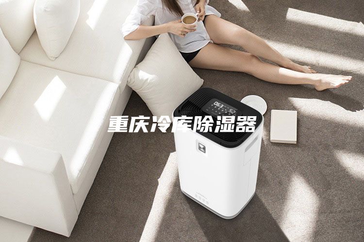 重慶冷庫除濕器